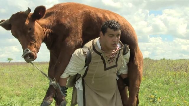 корова и богатырь)