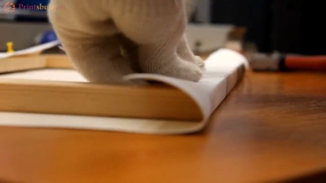 Модульные картины - Как украсить стену смотреть онлайн