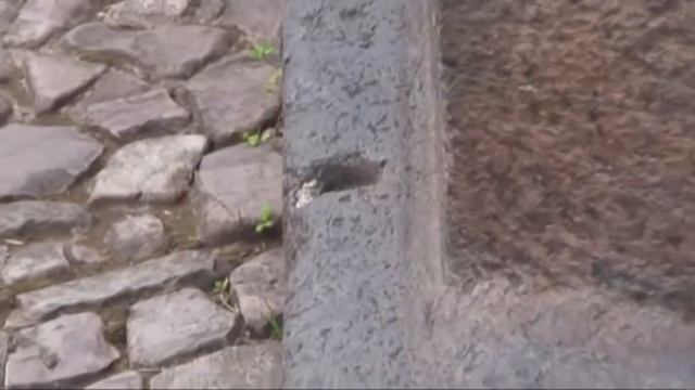 Строители из Перу смотреть онлайн