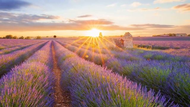Morning Meditation Music, Piano Soft Music, Cello Music, Tibetan Bowls, Healing Sounds смотреть онлайн