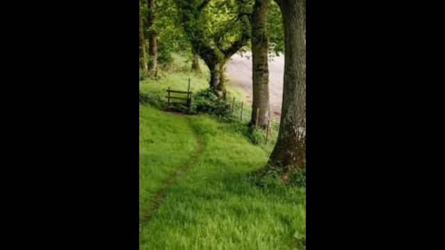 Фото природы для души? смотреть онлайн