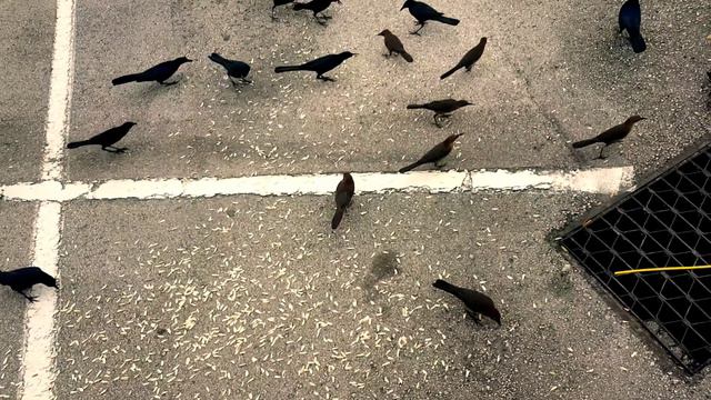 Делай добро ради Аллаhа, даже если оно малое.