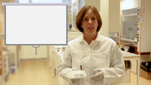 EVOLUTE® HYDRO смотреть онлайн