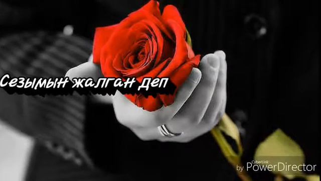 Whatsapp статус(38)