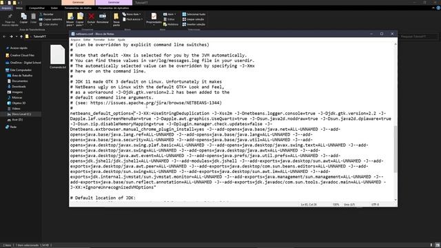 NetBeans IDE: Como resolver o erro "cannot run program" смотреть онлайн