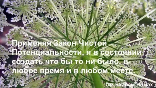 Марафон Изобилия День 8. Изобилие и закон чистой потенциальности смотреть онлайн