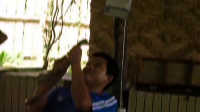 Змеи на Пхукете смотреть онлайн