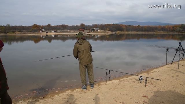 Шарани на ЗИГ РИГ / Carp on ZIG RIG смотреть онлайн
