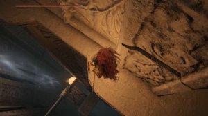 Elden Ring.Священная башня Звёздных пустошей.Спуск.Апостол божественной кожи.Как спуститься