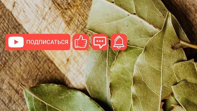Это спасет вашу жизнь! Коварный лавровый лист - такого вы точно не знали: ЗНАТЬ ВСЕМ! смотреть онлайн