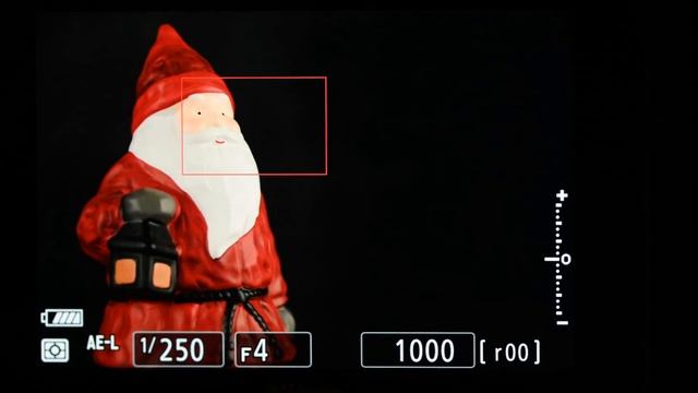 Серийная съёмка без блэкаута на Nikon Z 7 смотреть онлайн