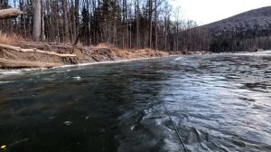 Горная рыбалка на хариуса поздней осенью. Ловля хариуса на мушку. Рыбалка в тайге.
