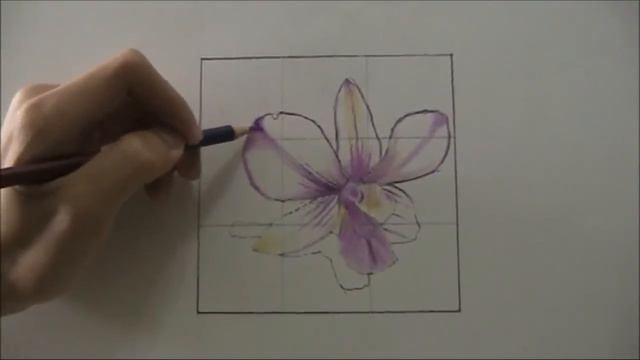 How to draw an orchid by Mr Tay Zhiyong смотреть онлайн