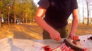 КАК БЫСТРО РАЗДЕЛАТЬ ЩУКУ? (Очень удобный и быстрый способ)