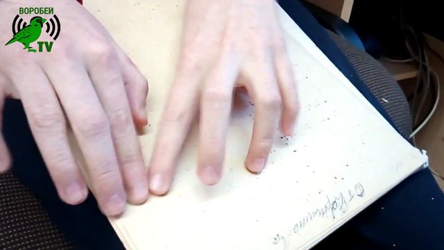 Что такое брайль - Брайлевская книга. Книга написанная по технологии рельефно-точечного письма. смотреть онлайн