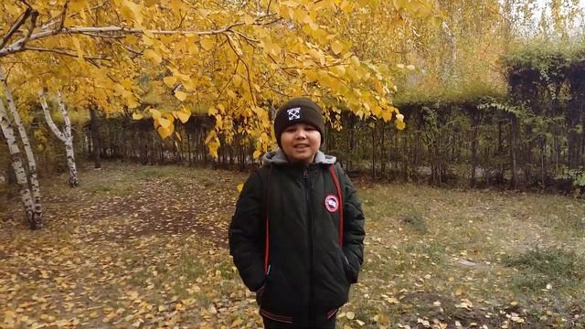 Унылая пора, очей очарованье! А.С.Пушкин. смотреть онлайн