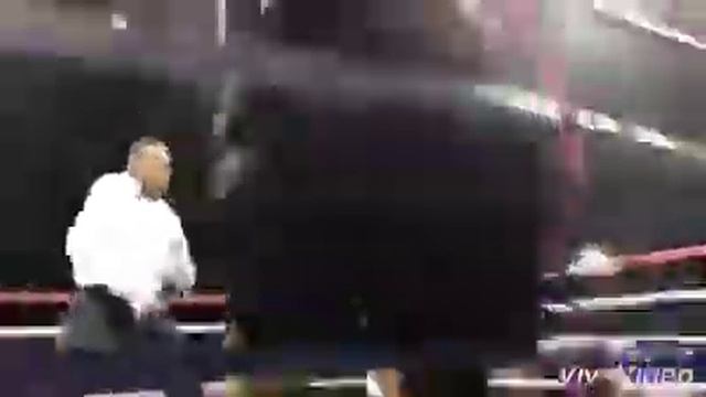 Music Artist Boxing Events(4)