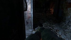 Дополнение Павел - Metro Last Light