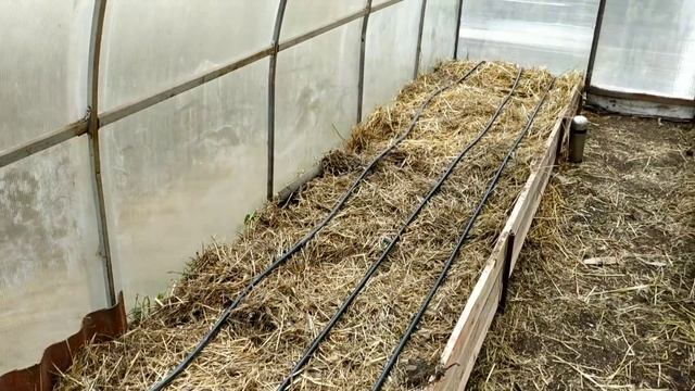 Соломенное земледелие 2019 - 4 капельный полив в парнике //Живая Баня Иван Бояринцев смотреть онлайн