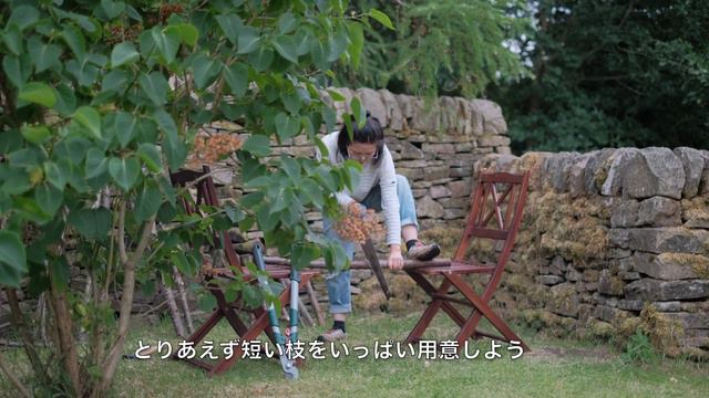 【ガーデンツアー】イギリスナチュラルガーデンお庭紹介/ジブリの庭を目指してDIY庭づくり/宿根草で秘密の花園/ガーデニングが心身共に与える良い影響/暮らしのvlog /ガーデンデザイン смотреть онлайн