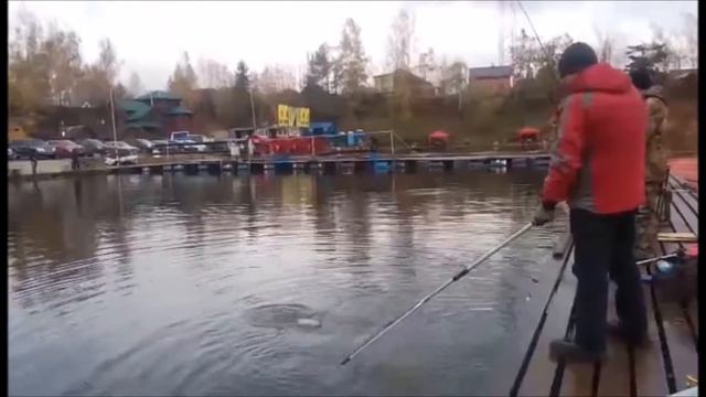 Рыбалка в Подмосковье смотреть онлайн