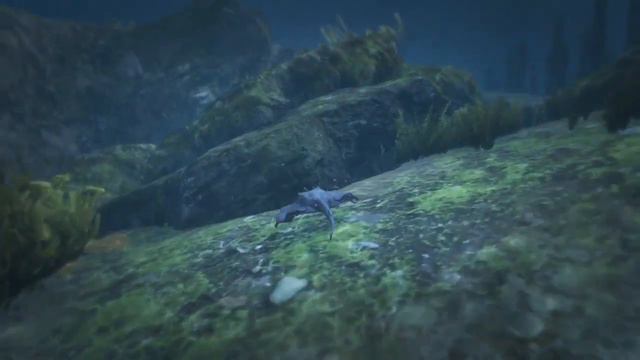 Grand Theft Auto V Peyote at the end of the pier. смотреть онлайн