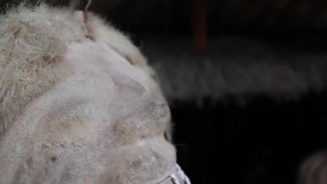 Visiting the Middle of the World | Latitude 00°00'00” | Quito Ecuador смотреть онлайн