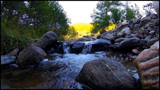 Расслабляющие звуки воды, пение птиц, речной шум, для приятного отдыха на фоне природы. смотреть онлайн