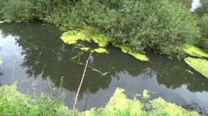 ШОК! Шесть РАЗМОТОК за НОЧЬ! Ловля щуки на живца с берега