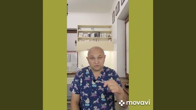 Чистка зубов собакам и кошкам зубной щёткой и пастой, совет рекомендации ветеринара Ушакова Дмитрия смотреть онлайн