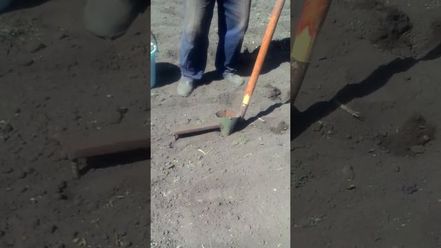 Крутая картофеле сажалка !!!!!! смотреть онлайн