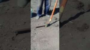 Крутая картофеле сажалка !!!!!!