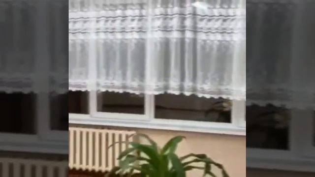 Экскурсия по ГОКУ "Специальной (коррекционной) школе №12" смотреть онлайн