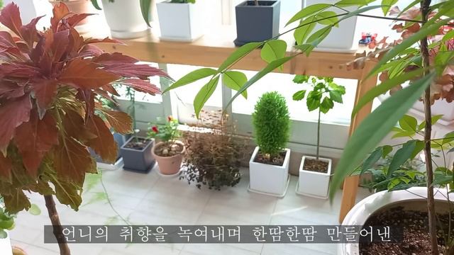 작은 숲이 되어주는 여름베란다정원/나의 손길이 닿은 꽃친구의 정원소개 смотреть онлайн