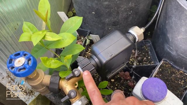 Smart timer garden hose faucet unboxing/setup/review—Irrigold Wifi/Bluetooth irrigation controller. смотреть онлайн