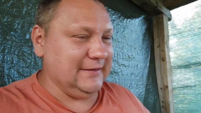 Отдых на дачном море смотреть онлайн