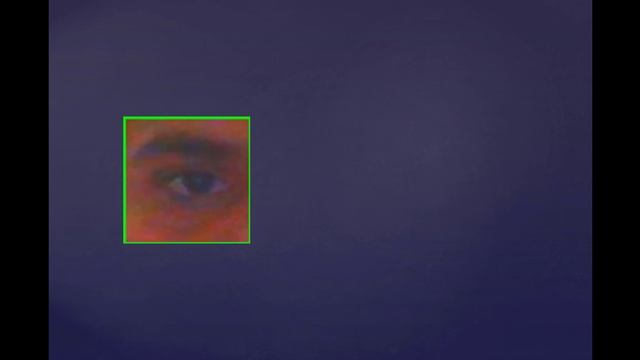 Iris Detection | Python | OpenCV смотреть онлайн