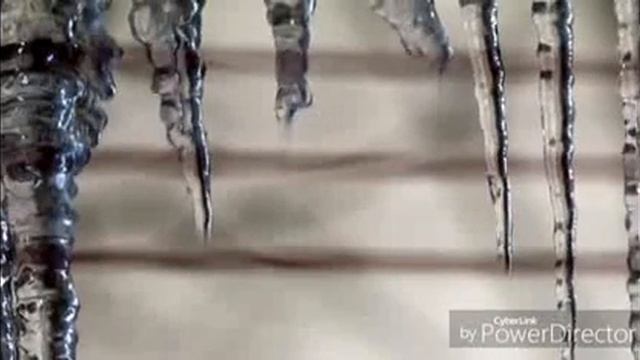 Красивая Киргизская песня о любви." СУРОТУНО" Ильяс Калыгулов. смотреть онлайн