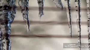 Красивая Киргизская песня о любви." СУРОТУНО" Ильяс Калыгулов.