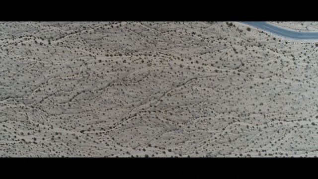 Finding Desert Rose - Joshua Tree смотреть онлайн