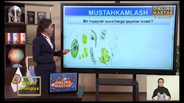 5-sinf 31.01.22 Online Maktab HD (Ona Tili, Tarix, Biologiya, Nemis Tili)