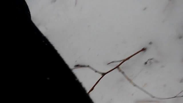 Sled Shred смотреть онлайн