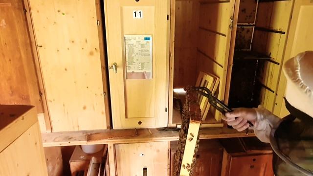 Пасека в Швейцарии | Как стать пчеловодом| швейцарский мёд смотреть онлайн