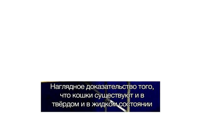 Мемы | Дневная подборка мемов 659