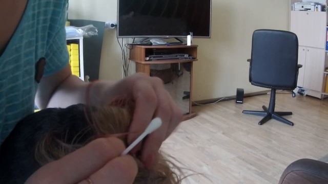 ЙОРК ТРЯСЕТ ГОЛОВОЙ. Что делать, если собака трусит ушами? смотреть онлайн