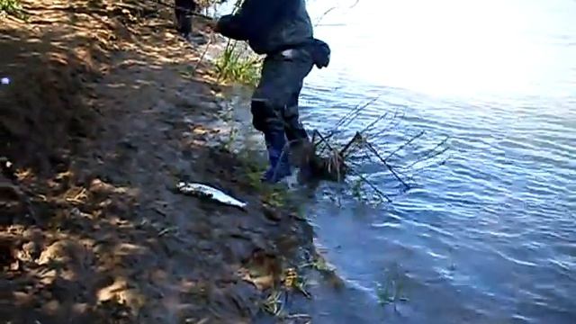 поймал симу на удочку смотреть онлайн