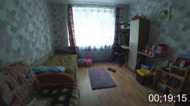 ОДНА ДОМА!!! Оставили Джек Рассел терьера одного в квартире. смотреть онлайн