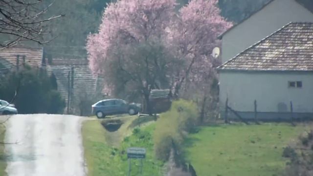 Fiujifilm FinePix S9800 Zoom teszt. смотреть онлайн