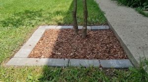 Как красиво оформить приствольный круг деревьев.