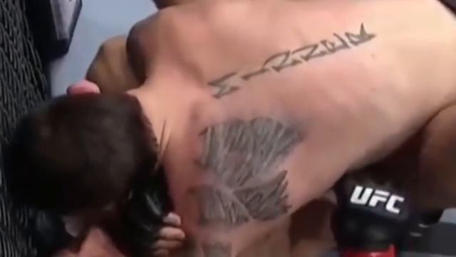 Ryan Hall Vs. Darrick Minner | Fullfight Highlights | UFC 269